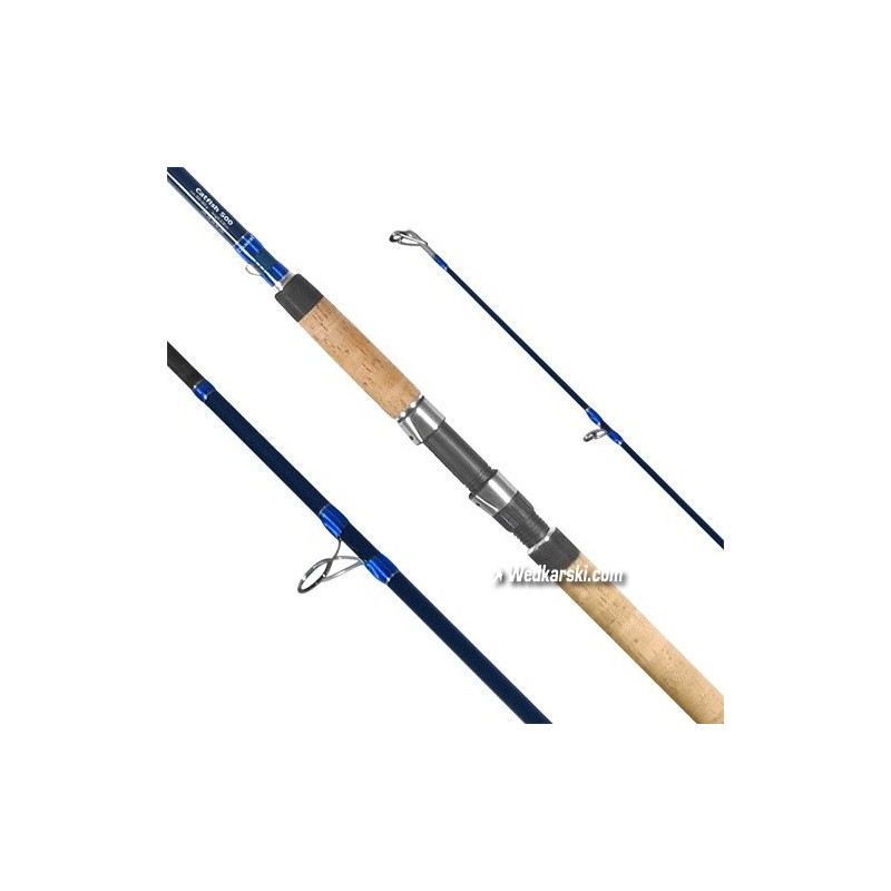 Wędka Dragon Thytan Catfish 300cm / 150-300g