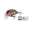 wobler-haira-tiny-shallow-pilot-lucky-john