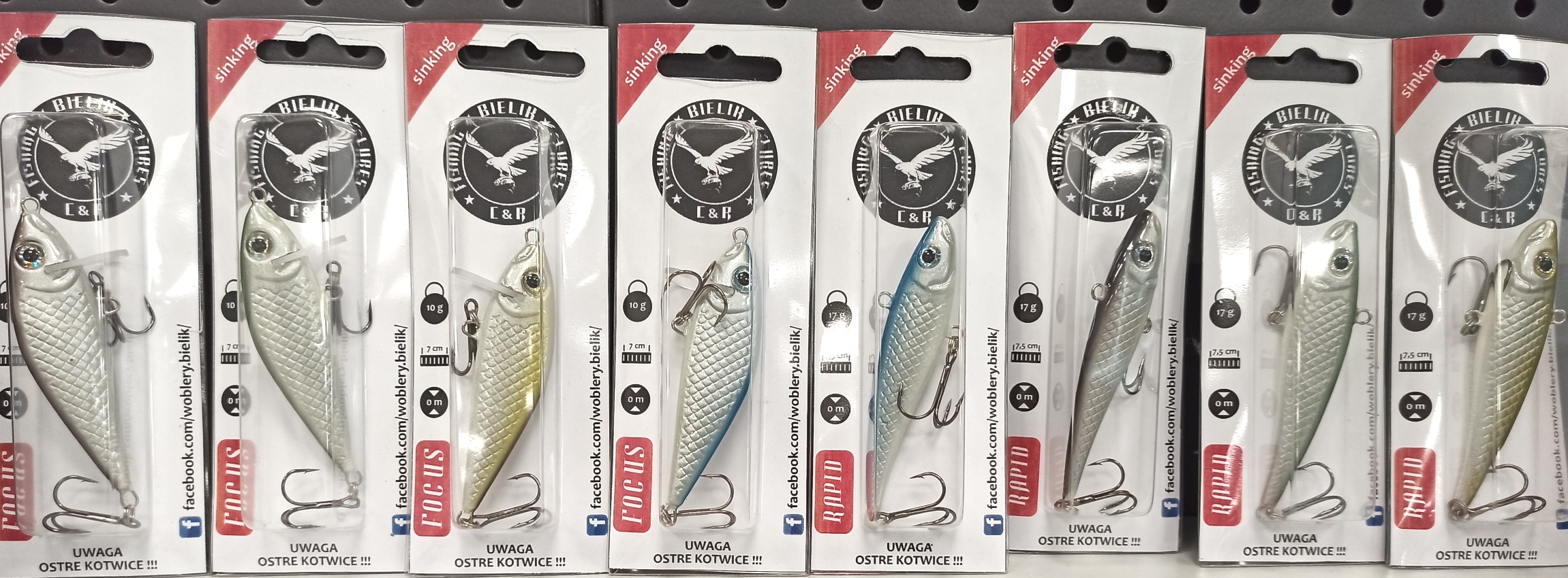 woblery-boleniowe-b5-bielik