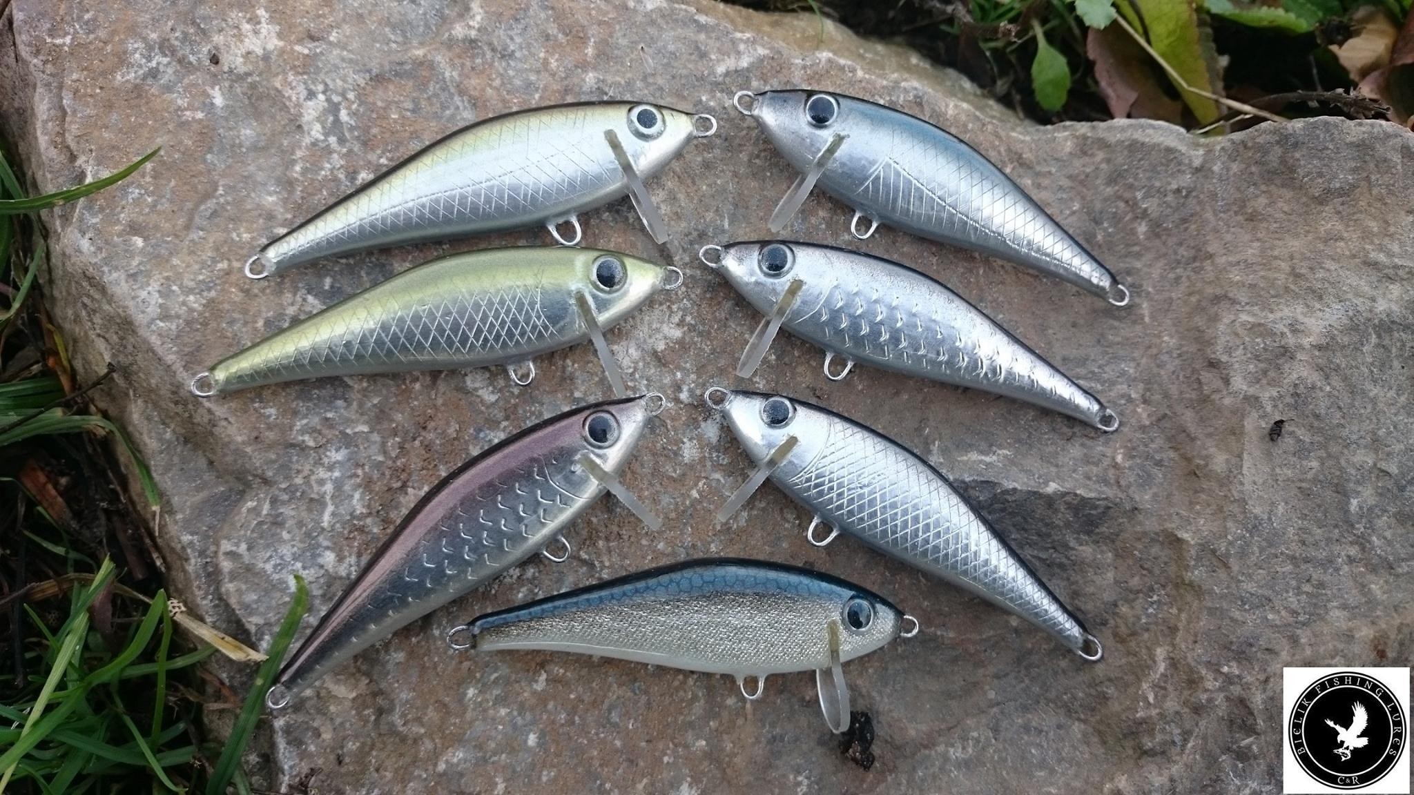 woblery-boleniowe-b5-bielik