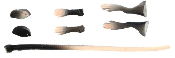 zestaw-naprawczy-3-rad-kit-20cm-savage-gear zestaw-naprawczy-3-rad-kit-20cm-savage-gear