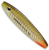 blystka-cora-si-cormoran blystka-cora-si-cormoran