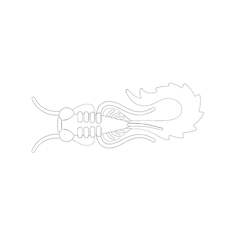 Przynęta Fishbay Twist 6 cm Herbata