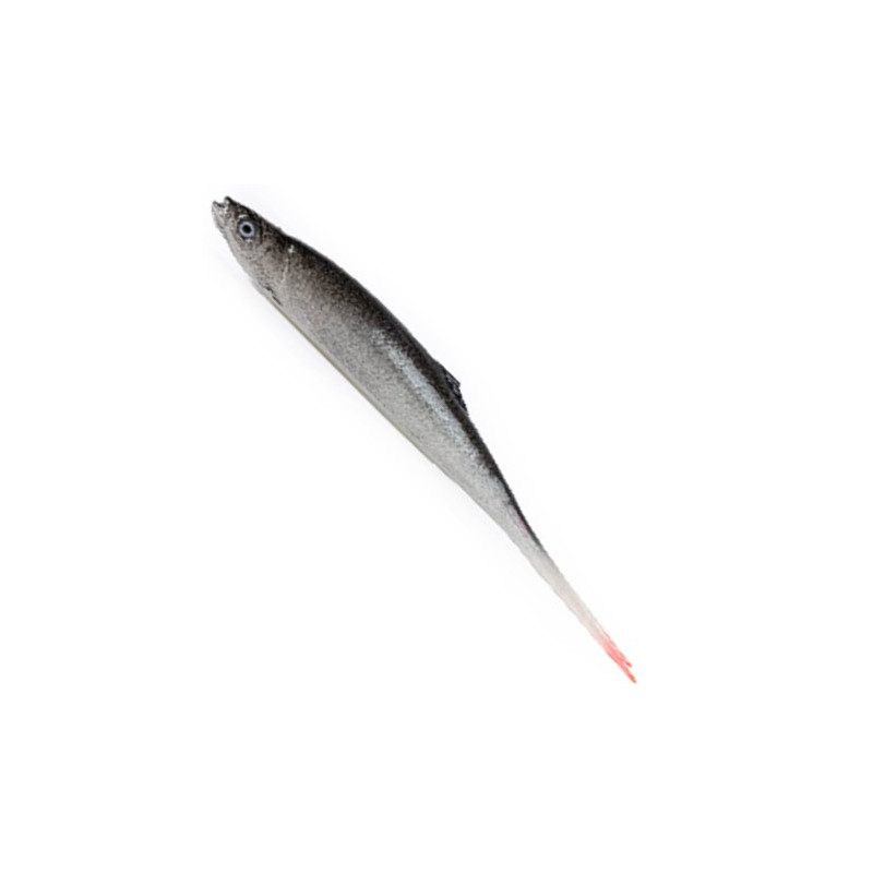 przyneta-ukleja-vertical-21-cm-alpha-real-fish