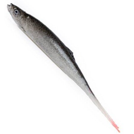 Przynęta Alpha Real Fish Ukleja Vertical 21 cm fire Przynęta Alpha Real Fish Ukleja Vertical 21 cm fire