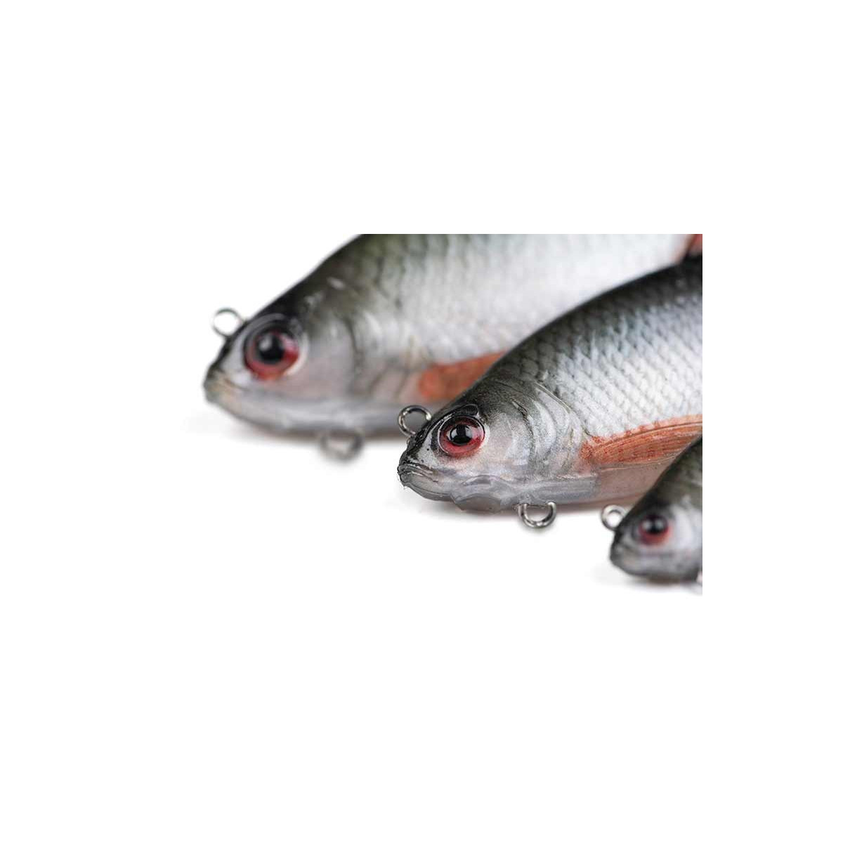 przyneta-ultra-realistic-roach-replicant-foxrage