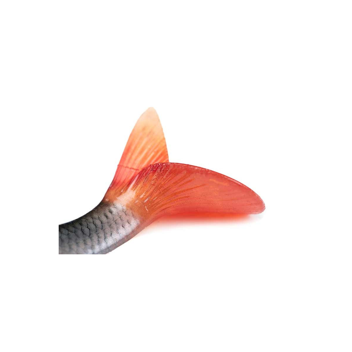 przyneta-ultra-realistic-roach-replicant-foxrage przyneta-ultra-realistic-roach-replicant-foxrage