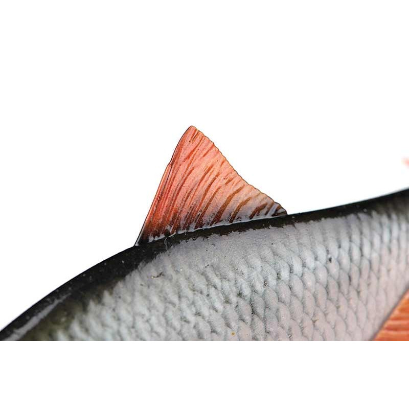 Przynęta FoxRage Ultra-Realistic Roach Replicant 18cm Przynęta FoxRage Ultra-Realistic Roach Replicant 18cm