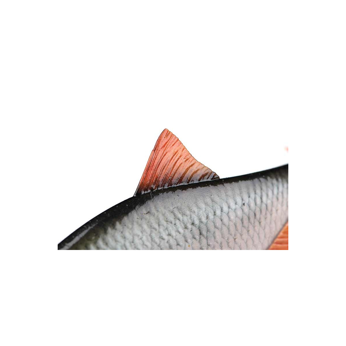 przyneta-ultra-realistic-roach-replicant-foxrage przyneta-ultra-realistic-roach-replicant-foxrage