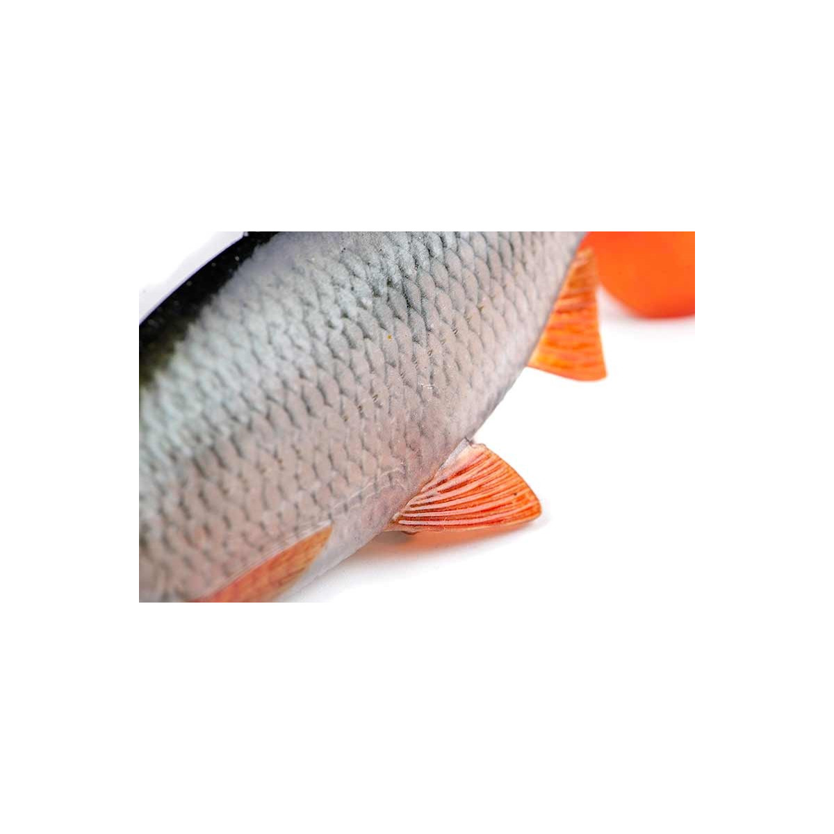 przyneta-ultra-realistic-roach-replicant-foxrage przyneta-ultra-realistic-roach-replicant-foxrage