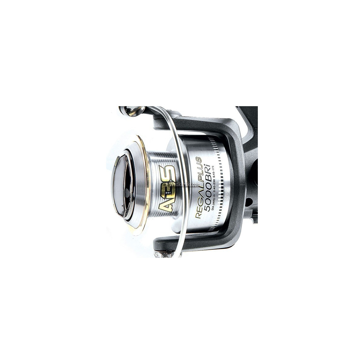 kolowrotek-regal-plus-bri-ab-daiwa kolowrotek-regal-plus-bri-ab-daiwa