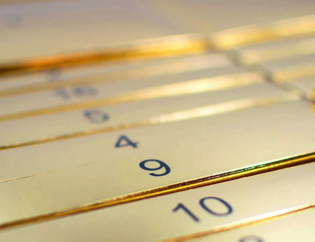 Kalendarz adwentowy Westin Predator Premium Advent Calendar P261-014-005