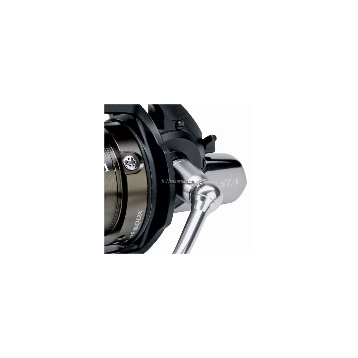 kolowrotek-tournament-basia-45qdx-wolny-bieg-daiwa kolowrotek-tournament-basia-45qdx-wolny-bieg-daiwa