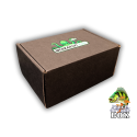 Perch Attack BoX - BIG - Tajemniczy zestaw na okonia PERCHATTACK-BOX-BIG