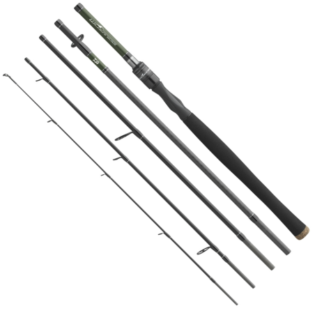 Wędka Daiwa Wilderness Travel 250cm / 10-50g