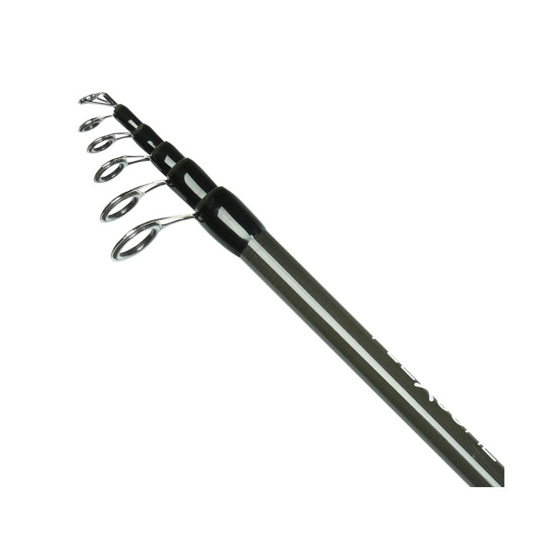 Wędka Robinson Flexcore Tele Roach 270cm / 10-30g