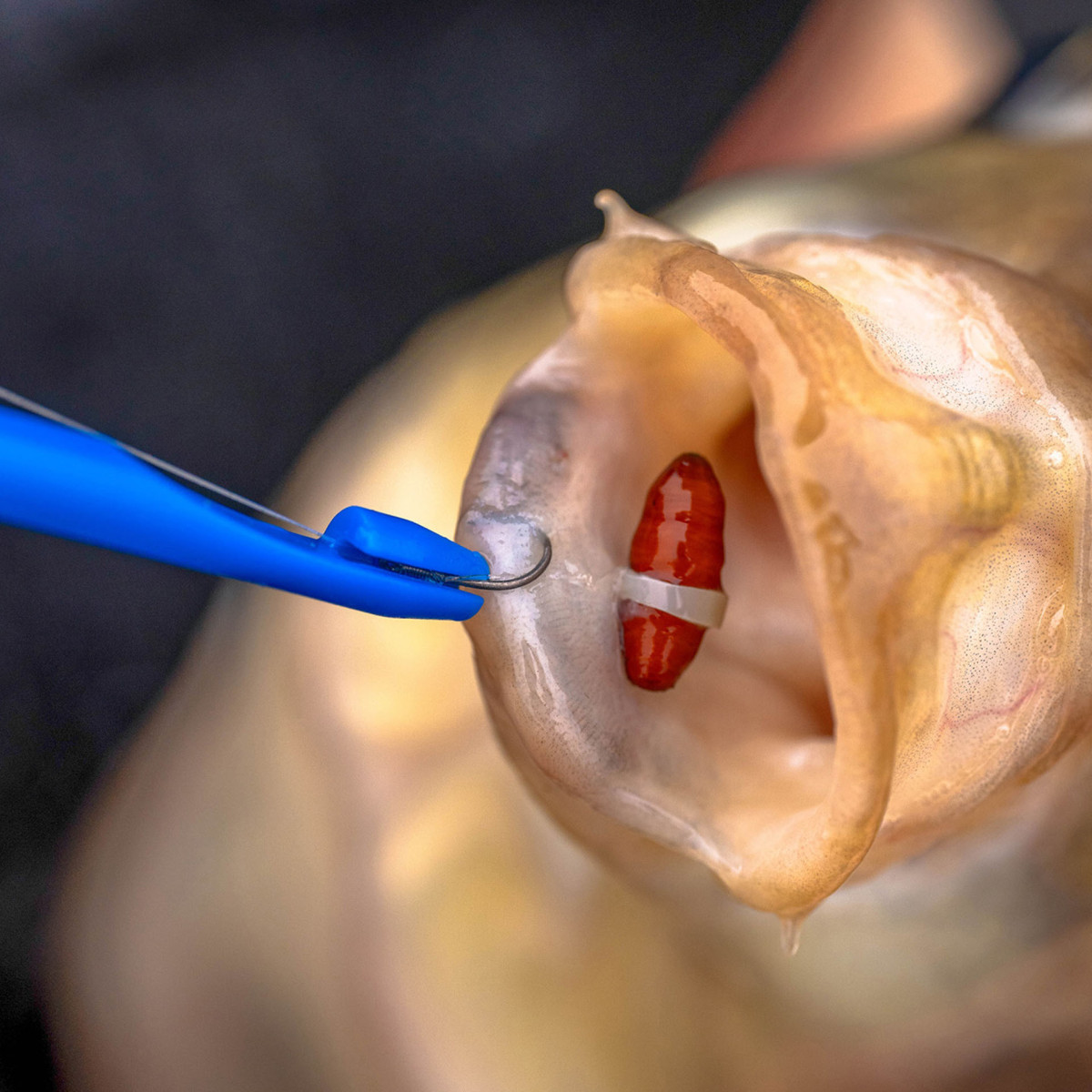 Narzędzie Preston Bander/Disgorger Twin Pack