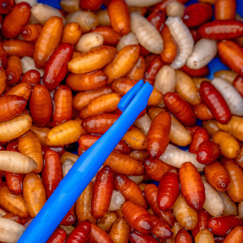 Narzędzie Preston Bander/Disgorger Twin Pack