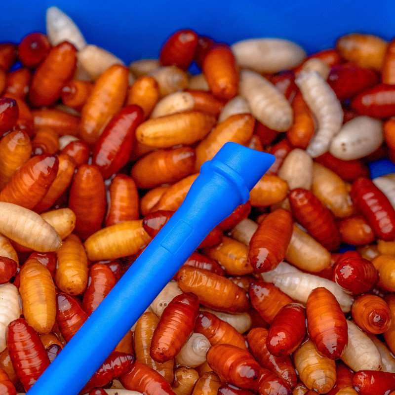 Narzędzie Preston Bander/Disgorger Twin Pack