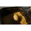 Pellet BaitNow Method Feeder 800g 2mm - O'Fish Sweet