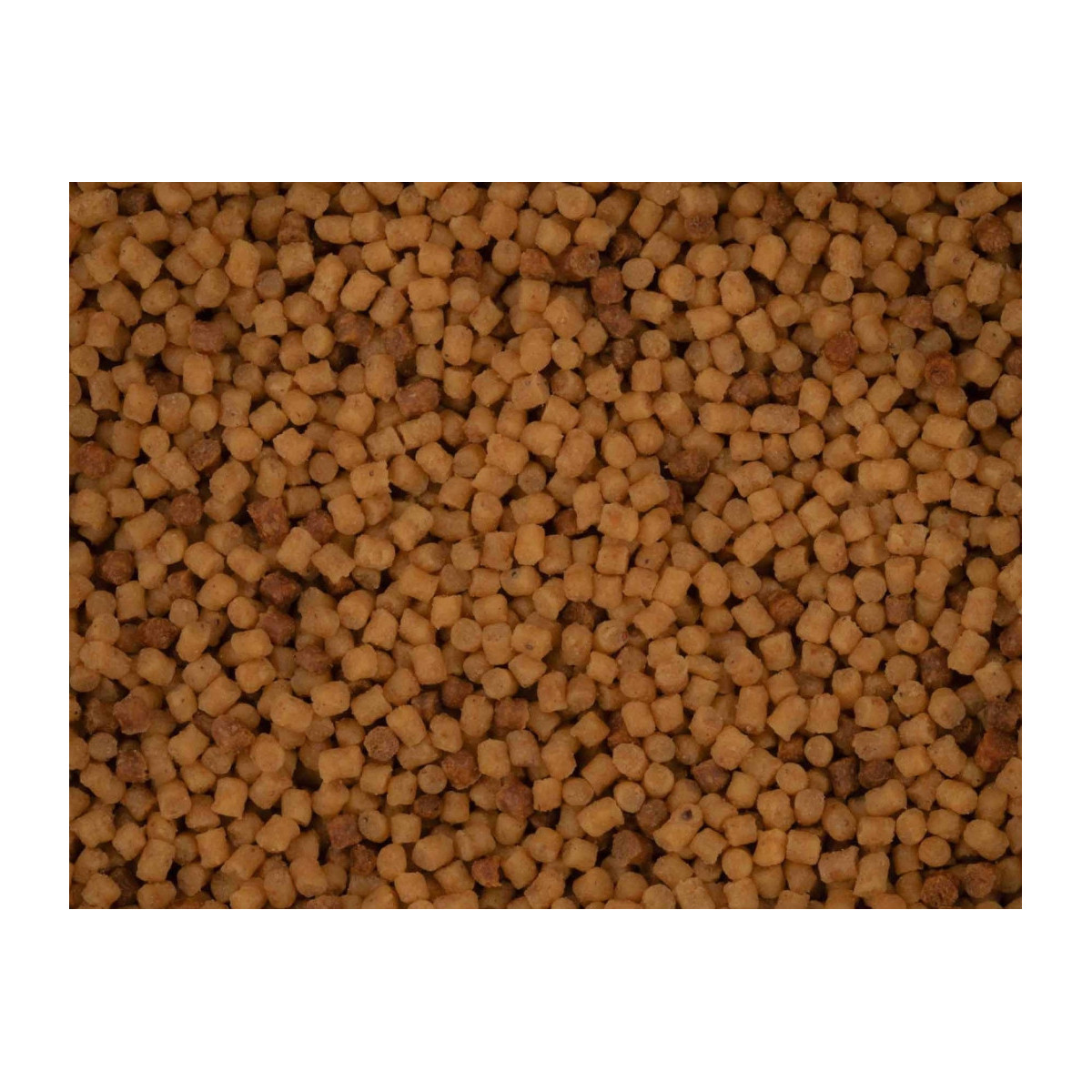 Pellet BaitNow Method Feeder 800g 2mm - Original Coarse