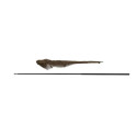 Podbierak Fox Horizon X3 42" 6ft Landing Net