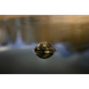 Echosonda Deeper Sonar CHIRP+ 4