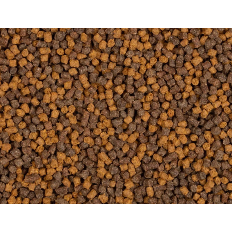 Pellet BaitNow Method Feeder 800g 2mm - Yellow Spin