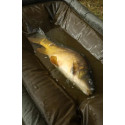 Kołyska Fox Carpmaster Welded Cradle