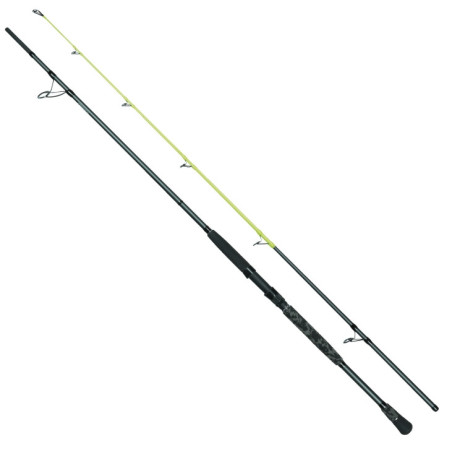 Wędka Robinson Siluro Pro Spin 270cm / 50-300g Wędka Robinson Siluro Pro Spin 270cm / 50-300g