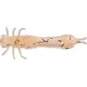 Przynęta Westin Odonata Ned Creaturebait 6.5cm 2g UV Shrimp