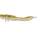 Przynęta Westin Odonata Ned Creaturebait 6.5cm 2g Olive Mist Przynęta Westin Odonata Ned Creaturebait 6.5cm 2g Olive Mist