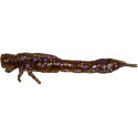 Przynęta Westin Odonata Ned Creaturebait 6.5cm 2g Disco Nymph Przynęta Westin Odonata Ned Creaturebait 6.5cm 2g Disco Nymph