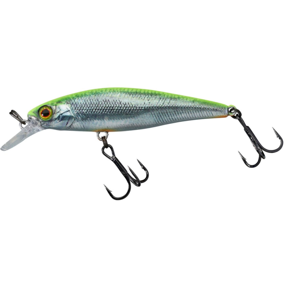 Wobler Illex SQUAD MINNOW 65 6,5cm SP - RT VISIBLE ROACH Wobler Illex SQUAD MINNOW 65 6,5cm SP - RT VISIBLE ROACH