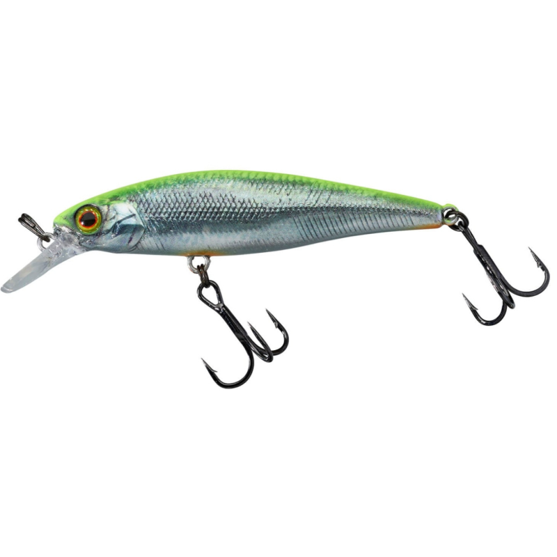 Wobler Illex SQUAD MINNOW 65 6,5cm SP - RT VISIBLE ROACH Wobler Illex SQUAD MINNOW 65 6,5cm SP - RT VISIBLE ROACH