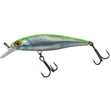 Wobler Illex SQUAD MINNOW 65 6,5cm SP - RT VISIBLE ROACH