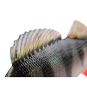 Przynęta Fox Rage Ultra-Realistic 14cm - Perch Replicant Przynęta Fox Rage Ultra-Realistic 14cm - Perch Replicant