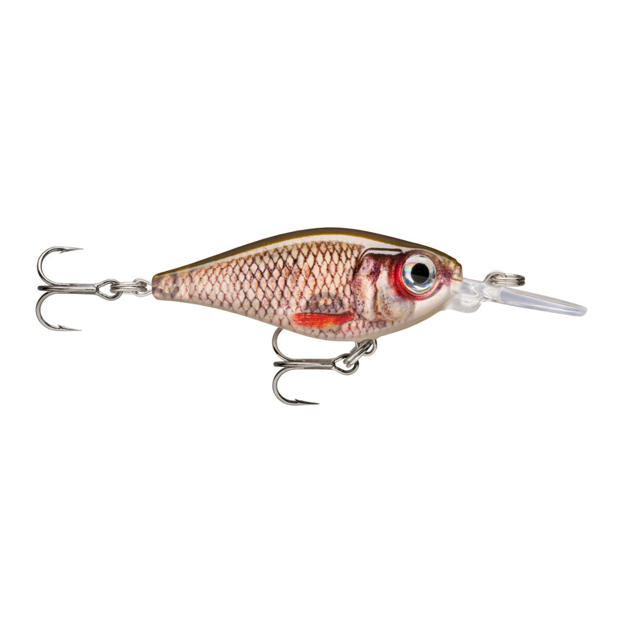 Wobler Rapala X-LIGHT SHAD 4cm - ROL / Live Roach Wobler Rapala X-LIGHT SHAD 4cm - ROL / Live Roach
