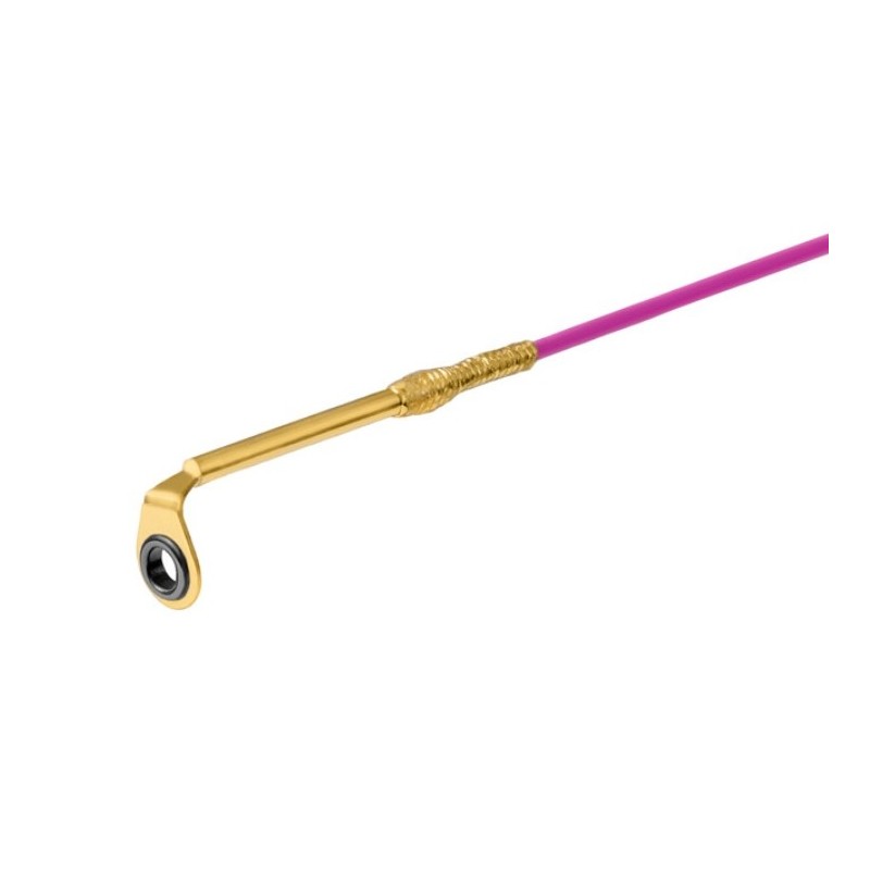 Wędka Delphin Queen Action 183cm / 0.5-6g Wędka Delphin Queen Action 183cm / 0.5-6g