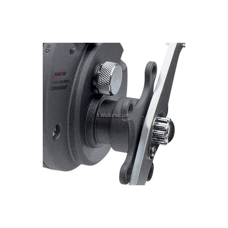 Multiplikator Cormoran Seacor