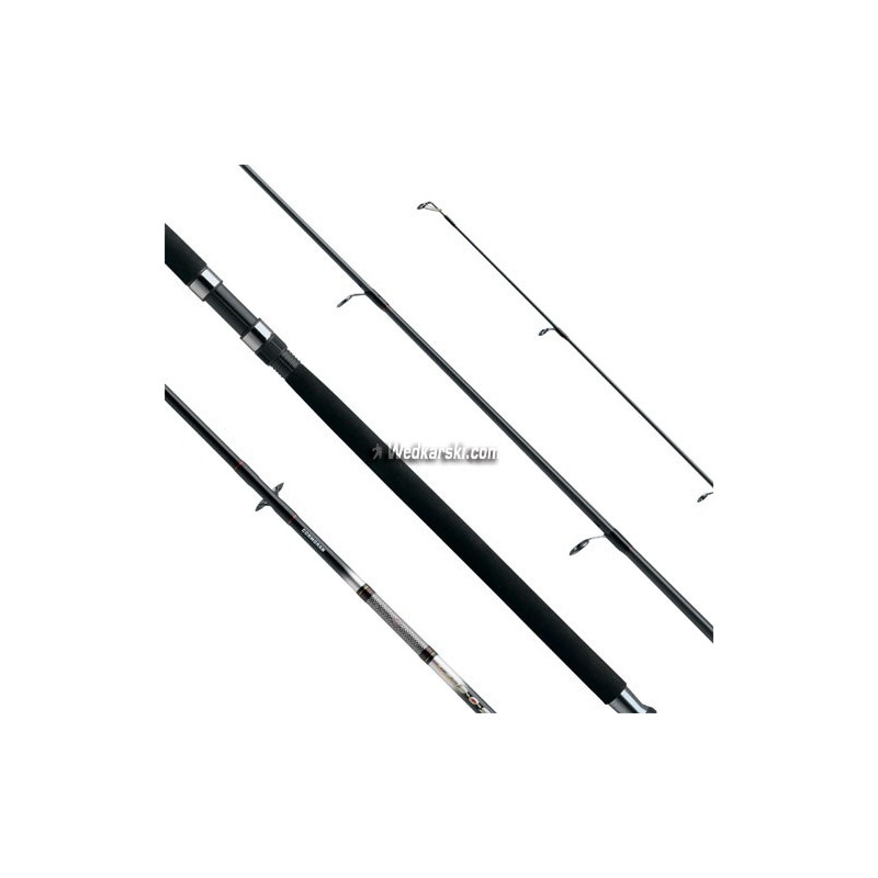 wedka-carb-o-star-big-fish-100-300-gram-dlugosc-270-cm-cormoran