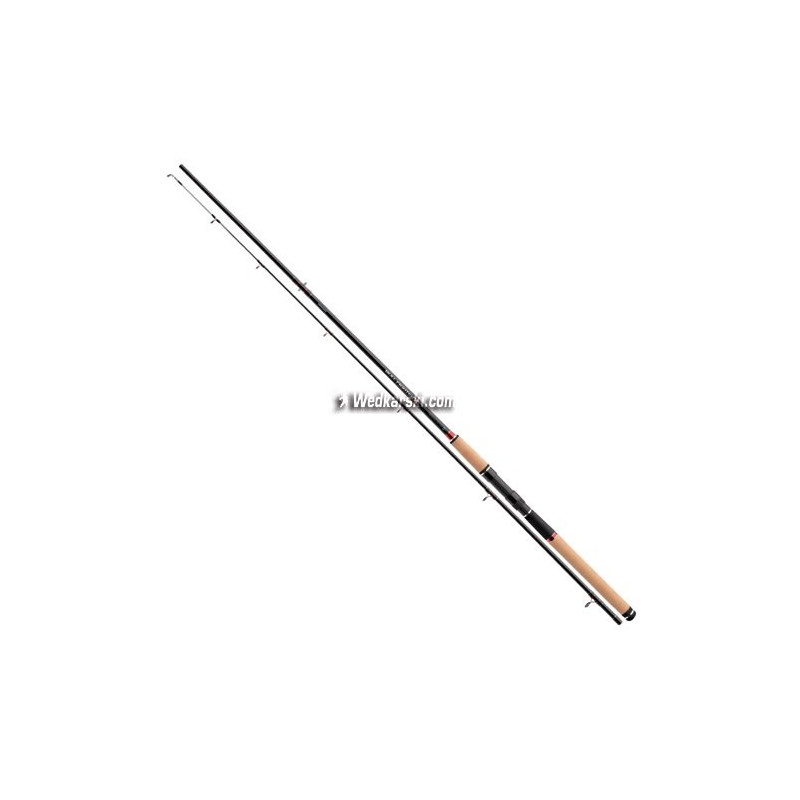 Wędka Cormoran Bull Fighter X Strong Lure 270cm / 40-150g