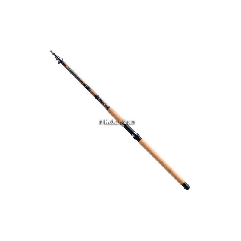 Wędka Cormoran Topfish Tele Carp 300cm / 20-60g