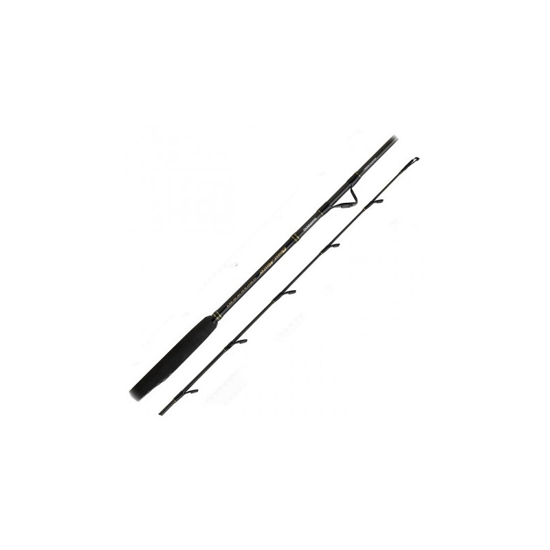 wedka-beastmaster-ax-boat-slim-shimano