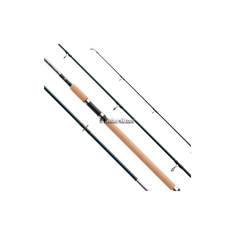 Wędka Daiwa Exceler Seabass Spinning 300cm / 15-50g