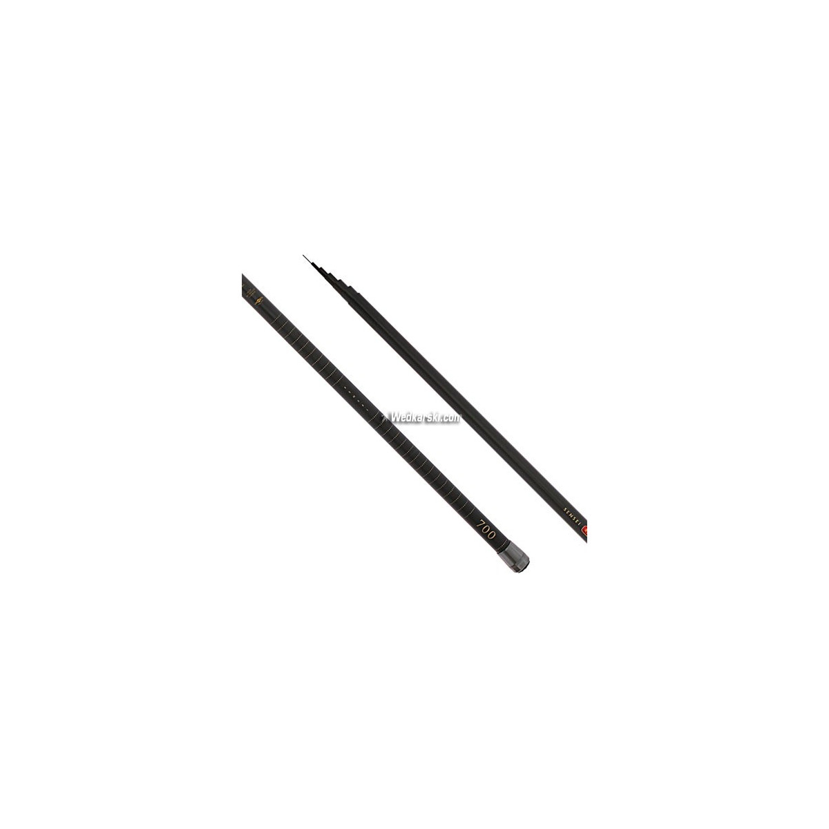 wedka-sensei-pole-mikado