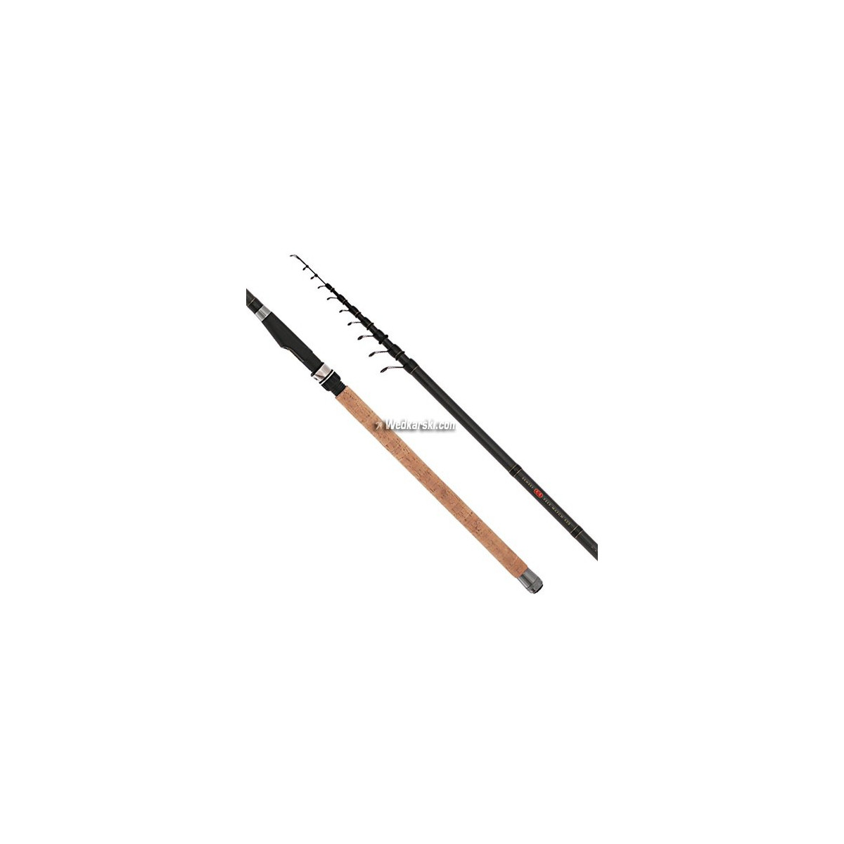 wedka-sensei-tele-match-mikado
