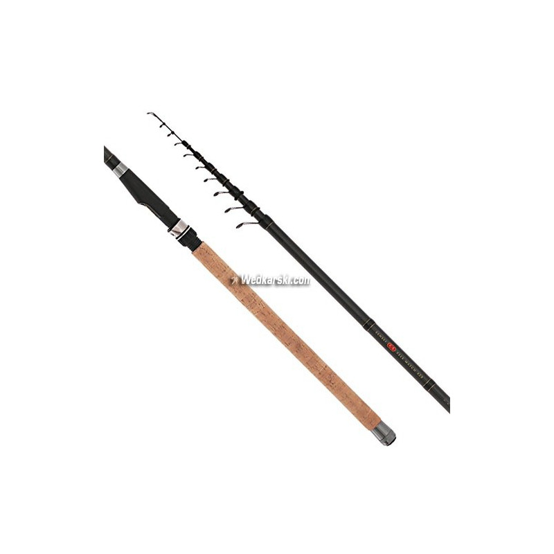 wedka-sensei-tele-match-mikado