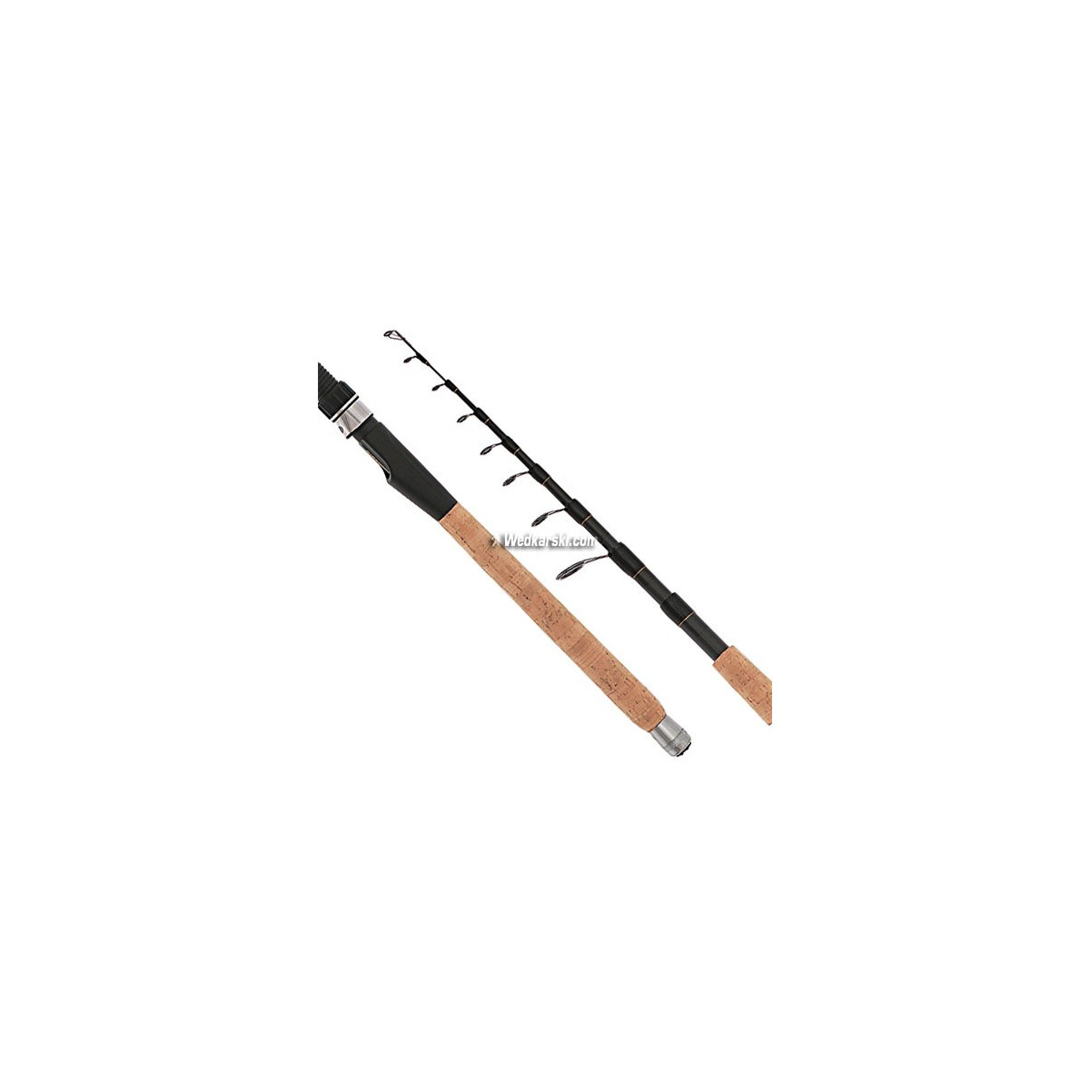 wedka-sensei-telespin-mikado