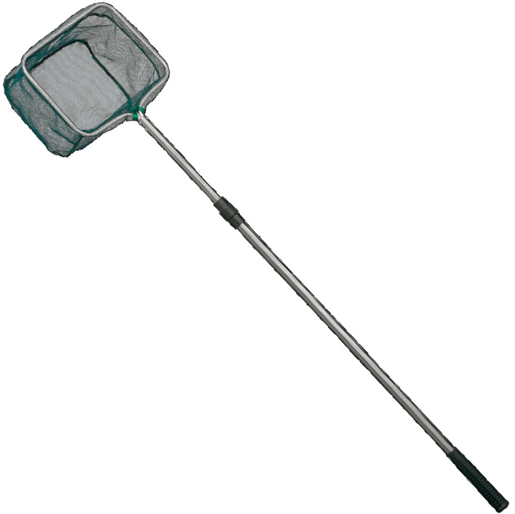 podbierak-teichkescher-saenger